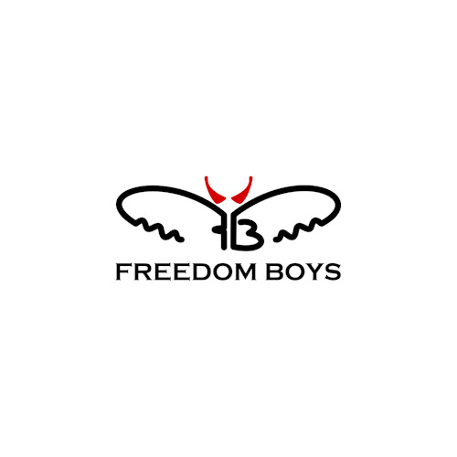 Band musicale Freedom Boys