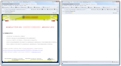 Newsletter: grafica o testuale?